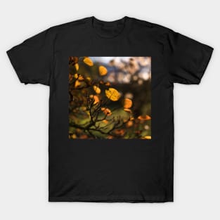 Snayle Fall T-Shirt